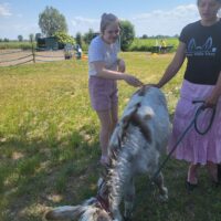 Wycieczka na Farmę Ośle Ucho